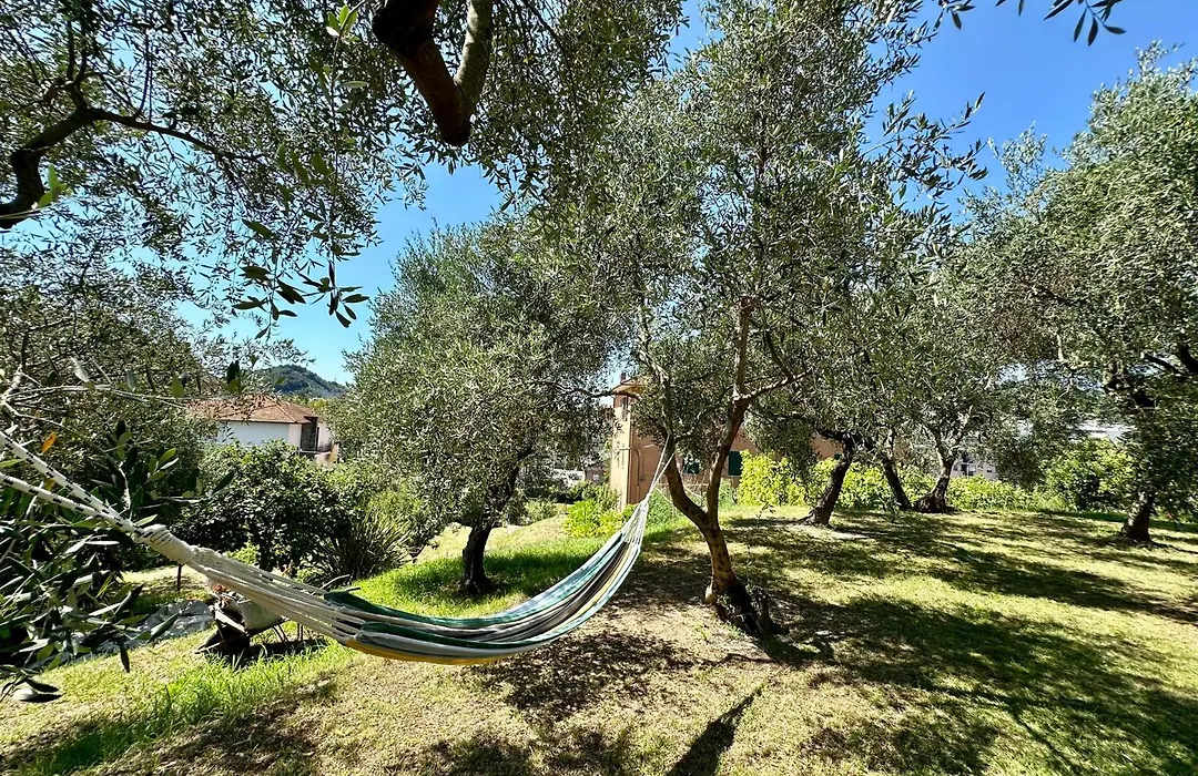 Agriturismo Uliveto Bartolomeo-1