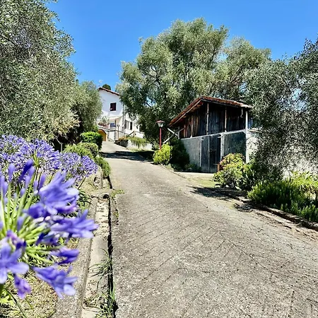 Agriturismo Uliveto Bartolomeo-2